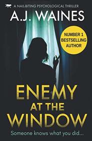 Enemy At The Window: a nail-biting psychological thriller