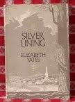 Silver Lining: A Novella