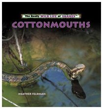 Cottonmouths (The Really Wild Life of Snakes)
