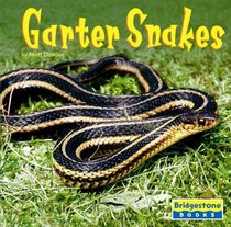 Garter Snakes (World of Reptiles)
