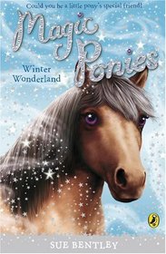 Winter Wonderland (Magic Ponies)