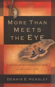 More Than Meets the Eye: Finding an Extraordinary God in Ordinary Life