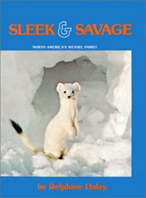 Sleek & savage: North America's weasel family