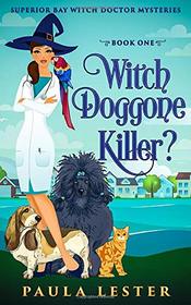 Witch Doggone Killer? (Superior Bay Witch Doctor Mysteries)