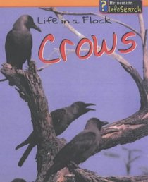 Life in a Flock of Crows (Animal Groups)