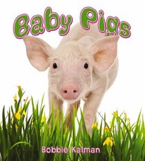 Baby Pigs (It's Fun to Learn About Baby Animals)
