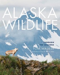 Alaska Wildlife: Through the Seasons