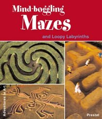 Mind-Boggling Mazes and Loopy Labyrinths (Adventures in Art)