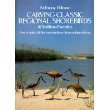 Carving Antique Shorebirds: 16 Traditional Favorites