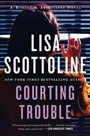 Courting Trouble: A Rosato & Associates Novel (Rosato & Associates Series, 7)