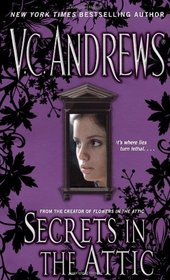 Secrets in the Attic (Secrets, Bk 1)