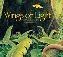 Wings of Light: The Migration of the Yellow Butterfly