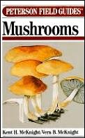 A Field Guide to Mushrooms North America (Peterson Field Guides)