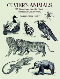Cuvier's Animals : 867 Illustrations from the Classic Nineteenth-Century Work (Dover Pictorial Archive Series)