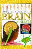 Brains and Nerves (Look at Your Body S.)