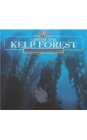 Life of the Kelp Forest (Stone, Lynn M. Under the Sea.)