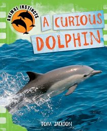 A Curious Dolphin (Animal Instincts)