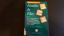 Families in Flux: New Approaches to Meeting Workforce Challenges for Child, Elder and Health Care in the 1990s (Bna Special Report)