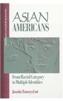 Asian Americans: From Racial Category to Multiple Identities (Critical Perspectives on Asian Pacific Americans Series)