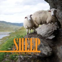 Sheep Calendar 2017: 16 Month Calendar