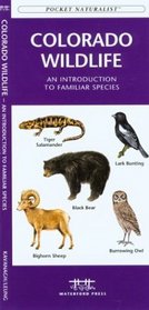 Colorado Wildlife: An Introduction to Familiar Species of Birds, Mammals, Reprtiles, Amphibians, Fish and Insects