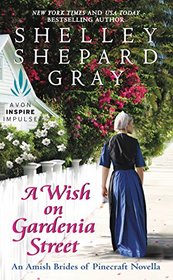 A Wish on Gardenia Street (Amish Brides of Pinecraft, Bk 2.5)
