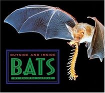 Outside and inside bats