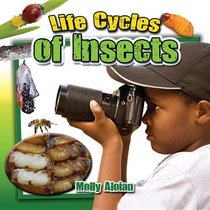 Life Cycles of Insects (Insects Close-Up)