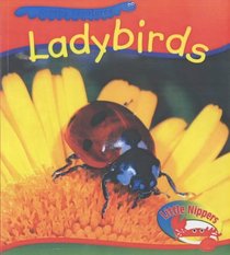 Ladybirds (Little Nippers: Creepy Creatures)
