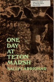 One Day at Teton Marsh
