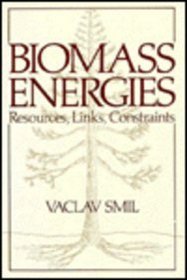 Biomass Energies: Resources, Links, Constraints (Modern perspectives in energy) (Critical Issues in Social Justice)