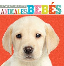 Toca y siente animales bebs (Spanish Edition)
