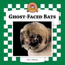 Ghost-Faced Bats (Bats Set II)