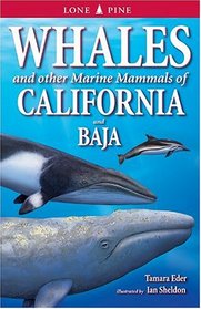 Whales and Other Marine Mammals of California and Baja