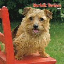 Norfolk Terriers 2008 Square Wall Calendar (German, French, Spanish and English Edition)