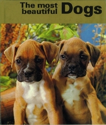 Most Beautiful Dogs