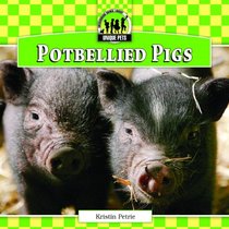 Potbellied Pigs (Unique Pets)