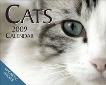 Cats: 2009 Mini Day-to-Day Calendar