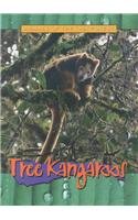 Tree Kangaroos (Animals of the Rain Forest)
