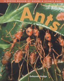Ants (Denver Museum Insect Books) (Turtleback School & Library Binding Edition) (Denver Museum of Nature & Science Books (Prebound))