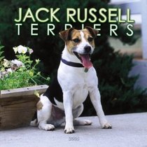 Jack Russell Terriers 2005 Wall Calendar