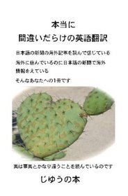 Big Translation Mistakes By Japanese (Japanese Edition)