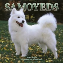 Samoyeds 2005 Wall Calendar