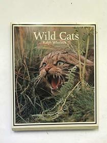 Wild Cats (Young naturalist books)