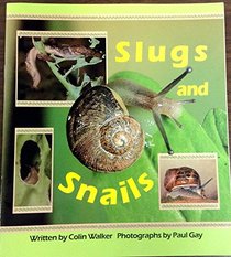Slugs and Snails (Wonder World)