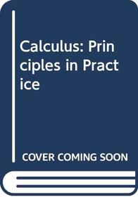Calculus: Principles in Practice