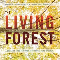 The Living Forest: An Eye-Opening Journey from the Canopy to the Woodland Floor