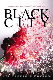 Black City (Black City, Bk 1)