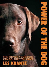 Power of the Dog: Things Your Dog Can Do That You Can't