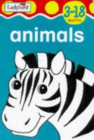 Animals (First Focus Board Books)